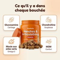 Ingrédients : glucosamine, chondroïtine, MSM, moule aux orles verts
