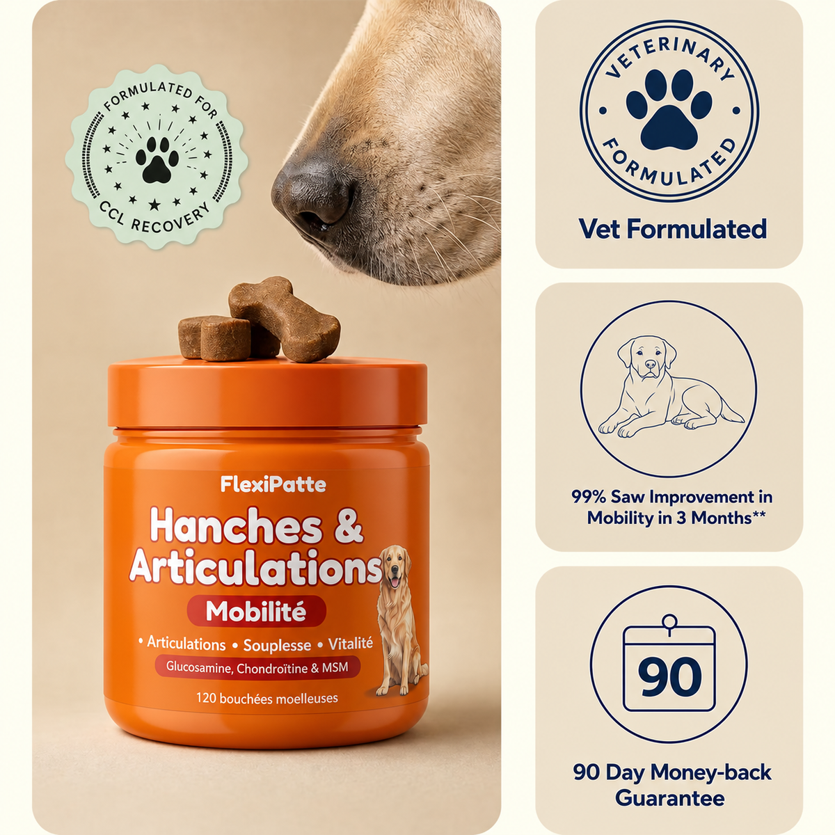 FlexiPatte – Bouchées Hanches & Articulations