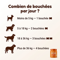 Dosage selon le poids du chien