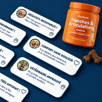 FlexiPatte – Bouchées Hanches & Articulations
