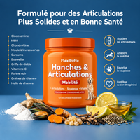 FlexiPatte – Bouchées Hanches & Articulations