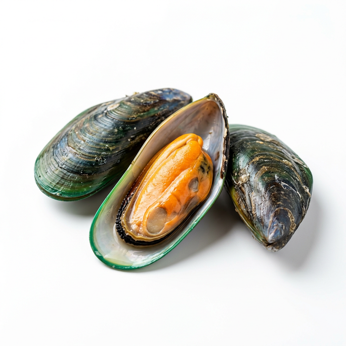 Moule aux orles verts